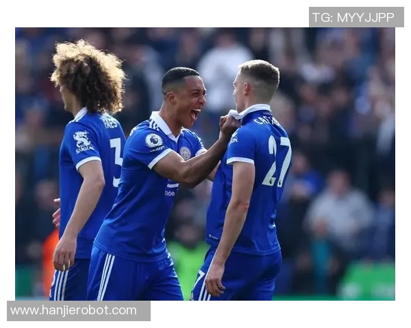 莱斯特城与埃弗顿精彩对决全场录像回放及精彩瞬间解析