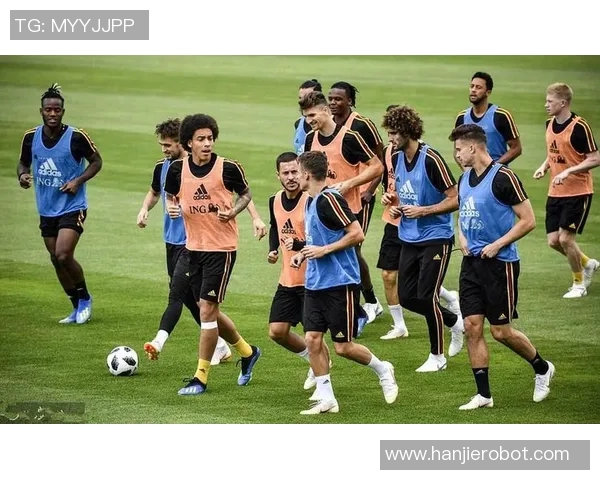 西班牙与荷兰对决现场球迷热情高涨共同见证足球盛宴