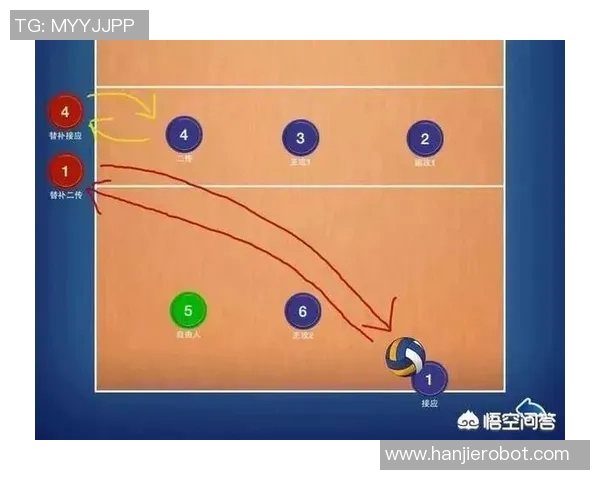 从零起步掌握排球战术全解析助你成为排球高手的必备指南MBA