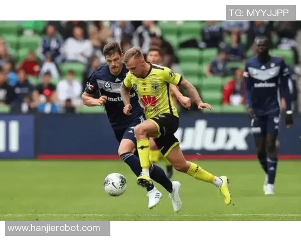 墨尔本胜利对阵首尔FC精彩视频回顾与赛后分析 墨尔本胜利对阵首尔FC精彩视频回顾与赛后分析