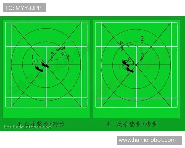 杭州羽毛球队在锦标赛中的战术分析与表现评估 杭州羽毛球队在锦标赛中的战术分析与表现评估